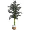 Trees & Topiaries>Kirklands Home Golden Cane Palm Tree in Woven Planter, 8 ft.