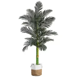 Trees & Topiaries>Kirklands Home Golden Cane Palm Tree in Woven Planter, 8 ft.