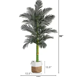 Trees & Topiaries>Kirklands Home Golden Cane Palm Tree in Woven Planter, 8 ft.