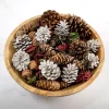 Home Fragrance>Kirklands Home Grand Pine Cone Potpourri