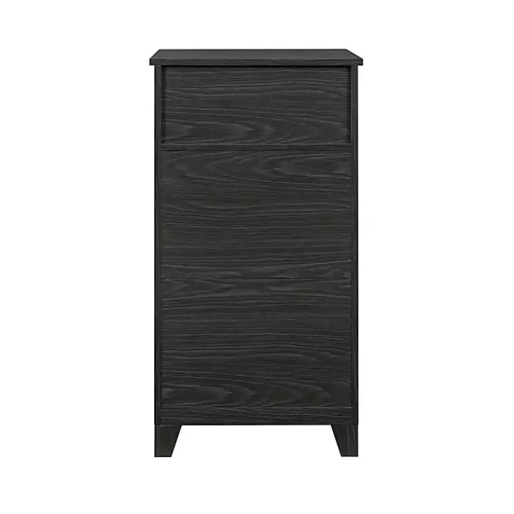 Kirklands Home Graphite Double Door Reeves Cabinet Black New