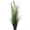 Trees & Topiaries>Kirklands Home Grass and Eucalyptus Potted Plant