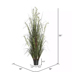 Trees & Topiaries><noscript><img width=