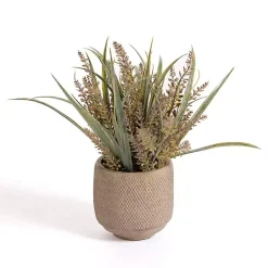 Arrangements & Greenery>Kirklands Home Grass Arrangement in Cement Pot