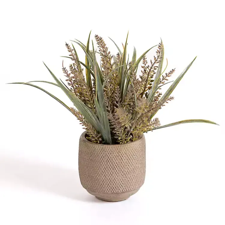 Arrangements & Greenery>Kirklands Home Grass Arrangement in Cement Pot
