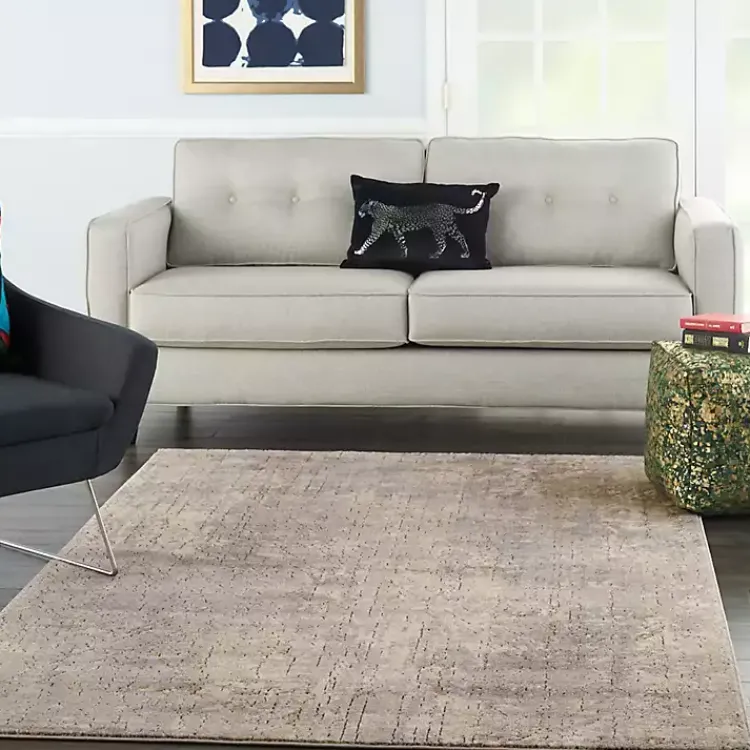 Kirklands Home Gray and Beige Tally Textured Area Rug, 5x7 Clearance