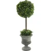 Trees & Topiaries>Kirklands Home Gray Boxwood Pedestal Urn Topiary, 2 ft.