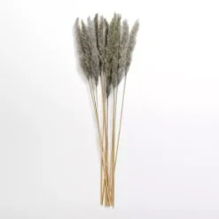 Stems & Bouquets>Kirklands Home Pampas Bundle Gray
