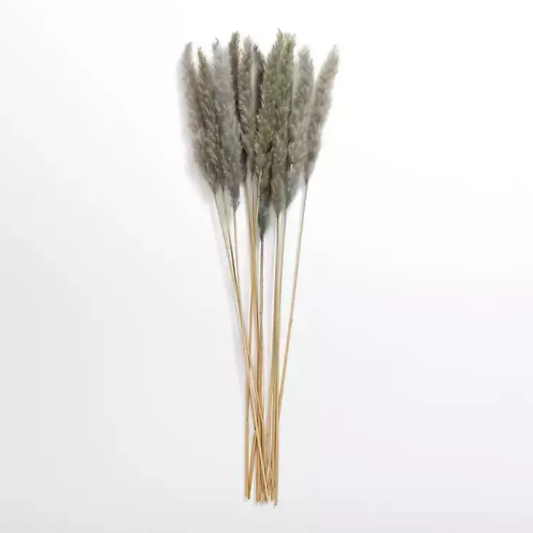 Stems & Bouquets>Kirklands Home Pampas Bundle Gray