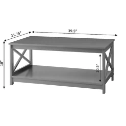 Kirklands Home X-Frame Single Shelf Coffee Table Gray New