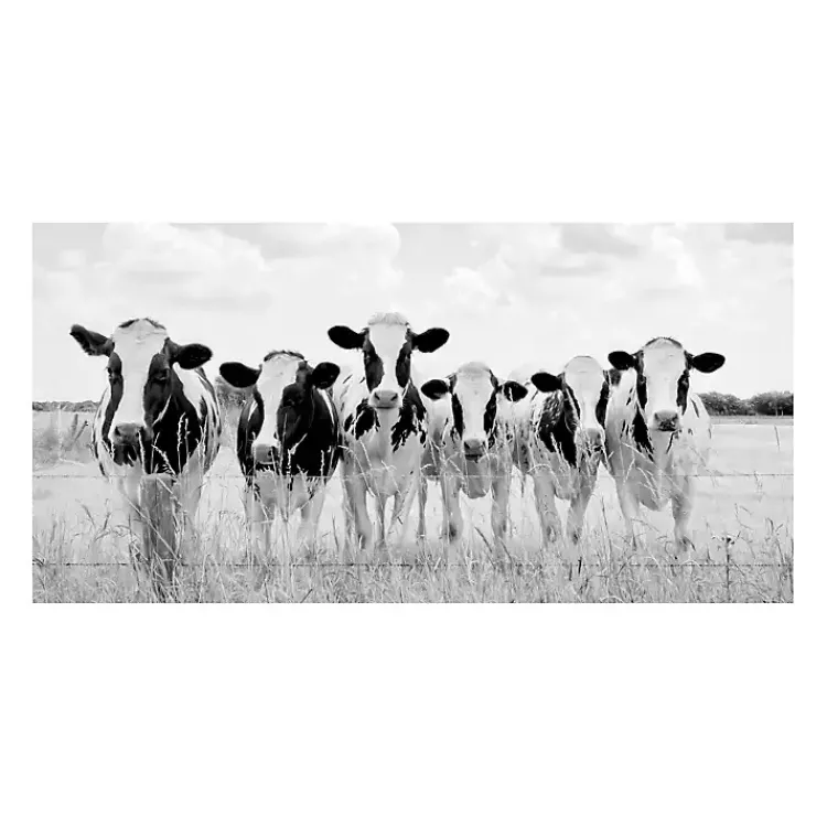 Kirklands Home Grazing Pasture Canvas Art Print New