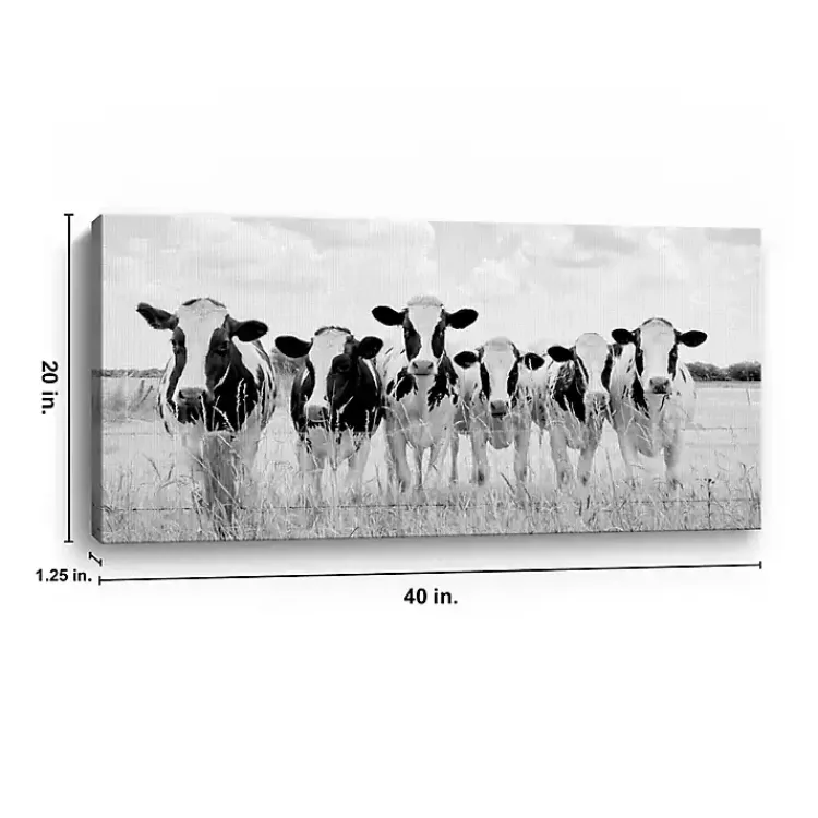 Kirklands Home Grazing Pasture Canvas Art Print New