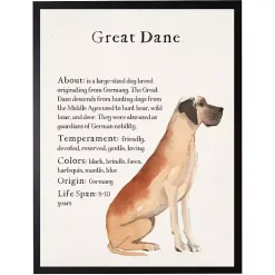 Kirklands Home Great Dane Facts Framed Wall Plaque