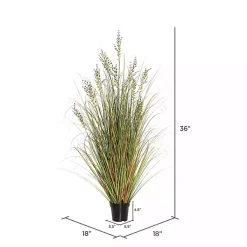 Trees & Topiaries><noscript><img width=