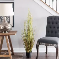 Trees & Topiaries><noscript><img width=