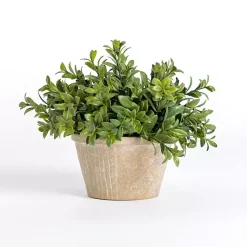 Arrangements & Greenery>Kirklands Home Boxwood Arrangement in Ceramic Pot Green