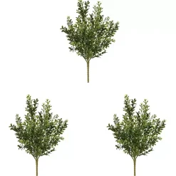 Stems & Bouquets><noscript><img width=