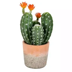 Arrangements & Greenery>Kirklands Home Cactus in Clay Pot, 14 in. Green