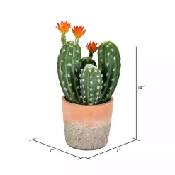 Arrangements & Greenery>Kirklands Home Cactus in Clay Pot, 14 in. Green