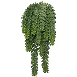 Stems & Bouquets>Kirklands Home Green Donkey's Tail Bush