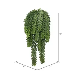 Stems & Bouquets>Kirklands Home Green Donkey's Tail Bush