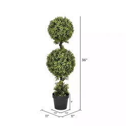 Trees & Topiaries>Kirklands Home Green Double Ball Boxwood Potted Topiary