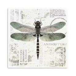 Kirklands Home Green Dragonfly Canvas Art Print Sale