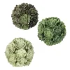 Bowl Filler>Kirklands Home Green Echeveria Orbs, Set of 3