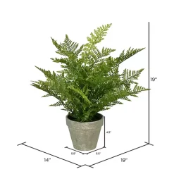 Arrangements & Greenery>Kirklands Home Fern Arrangement in Paper Pot Green