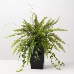 Trees & Topiaries>Kirklands Home Fern Plant in Black Pot Green