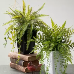Trees & Topiaries>Kirklands Home Fern Plant in Black Pot Green