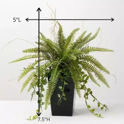 Trees & Topiaries><noscript><img width=
