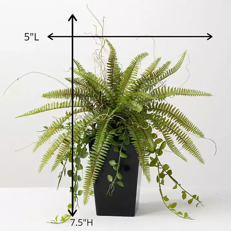 Trees & Topiaries>Kirklands Home Fern Plant in Black Pot Green