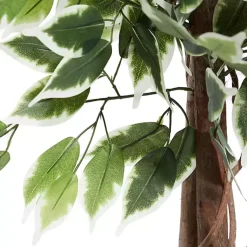 Trees & Topiaries><noscript><img width=