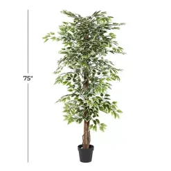 Trees & Topiaries><noscript><img width=