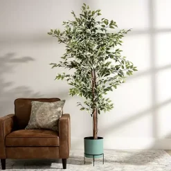 Trees & Topiaries><noscript><img width=