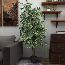 Trees & Topiaries><noscript><img width=