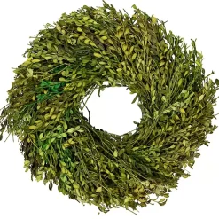 Wreaths>Kirklands Home Foliage Wreath Green
