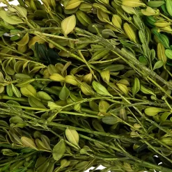 Wreaths><noscript><img width=