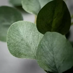 Arrangements & Greenery>Kirklands Home Leafy Eucalyptus Garland Green
