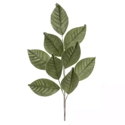 Christmas Arrangements & Garland>Kirklands Home Magnolia Leaf Sprays, Set of 6 Green