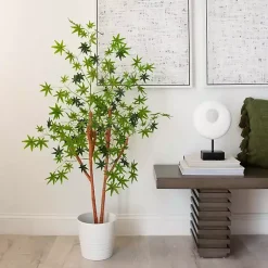 Trees & Topiaries><noscript><img width=