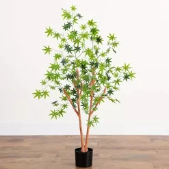 Trees & Topiaries><noscript><img width=