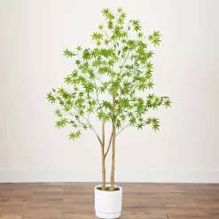 Trees & Topiaries><noscript><img width=