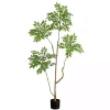 Trees & Topiaries>Kirklands Home Green Pieris Tree in Black Planter