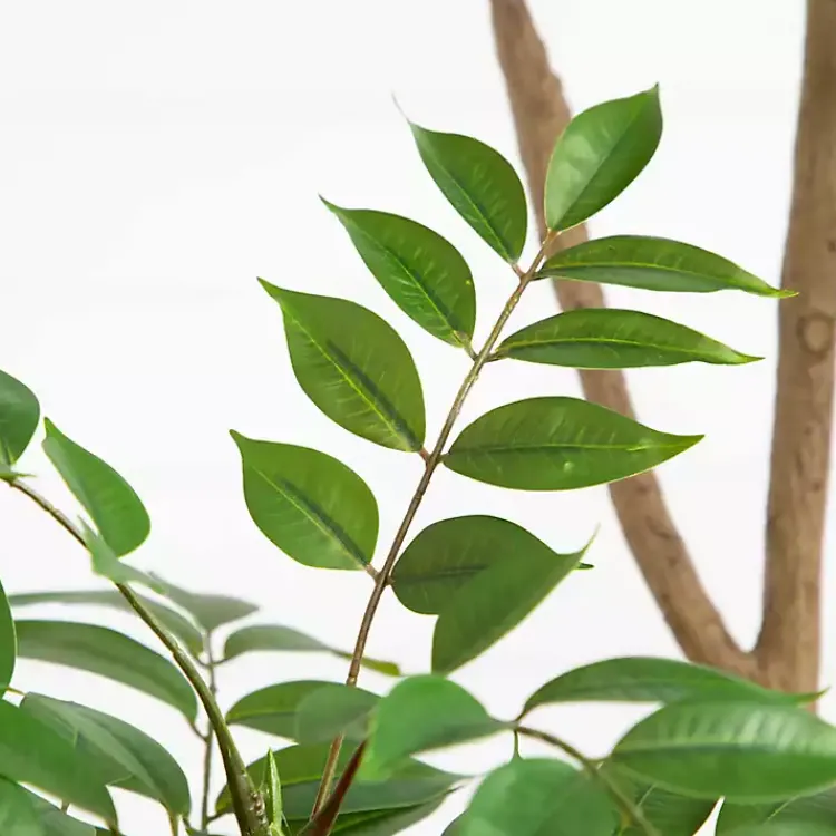 Trees & Topiaries>Kirklands Home Green Pieris Tree in Black Planter