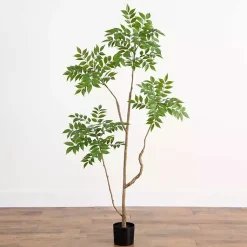 Trees & Topiaries><noscript><img width=
