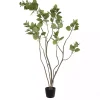 Trees & Topiaries>Kirklands Home Green Potted Cotinus Coggygria Tree, 4 ft.