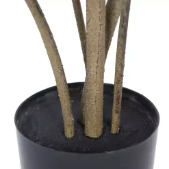 Trees & Topiaries><noscript><img width=