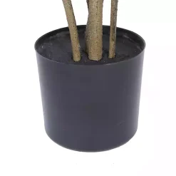 Trees & Topiaries><noscript><img width=